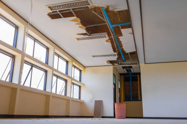 Best Ceiling water damage repair  in Big Sandy, TX
