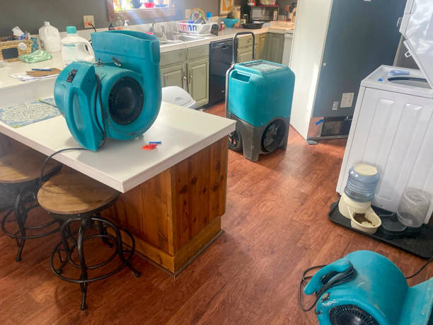 Big Sandy, TX Water damage restoration Company