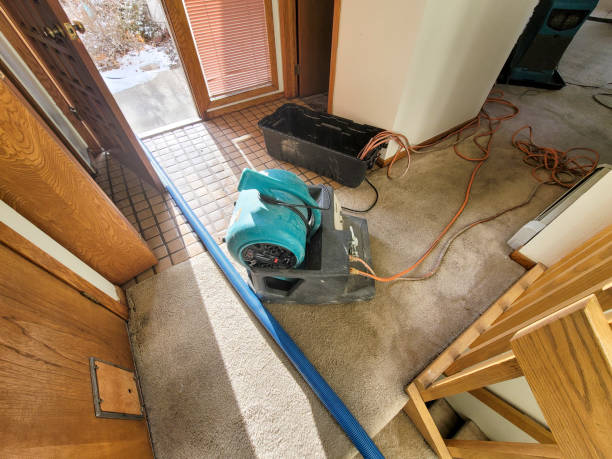 Best Emergency water damage restoration  in Big Sandy, TX